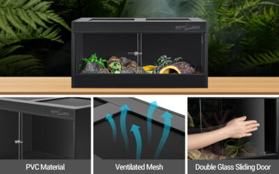 Why REPTI ZOO Enclosures Are the Ultimate Choice for Reptile Enthusiasts